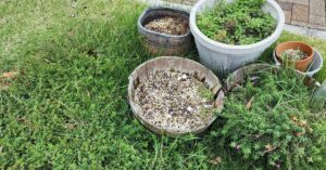 植木鉢・陶器・プランターの処分